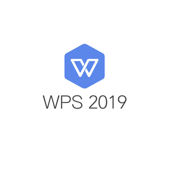 wps office 2019专业版办公软件(政府专用 一年服务,数量授权 )